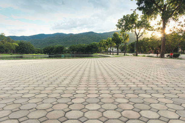 Best Driveway Pavers Cost  in New Bern, NC
